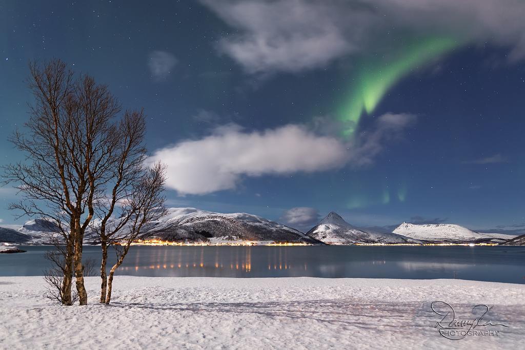 Camp Fjordbotn Hotel Galnslåtta Buitenkant foto